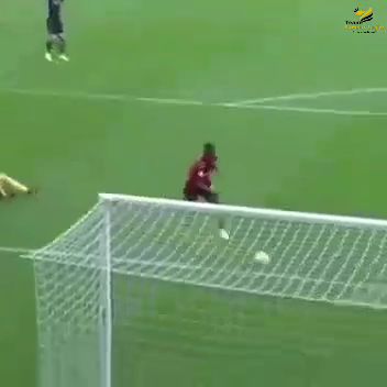 Best of the best Goal