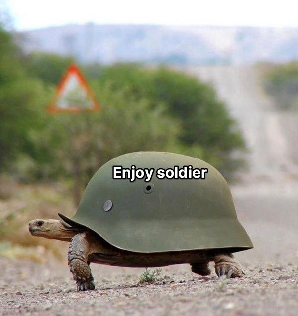 Enjoy soldier 🪖