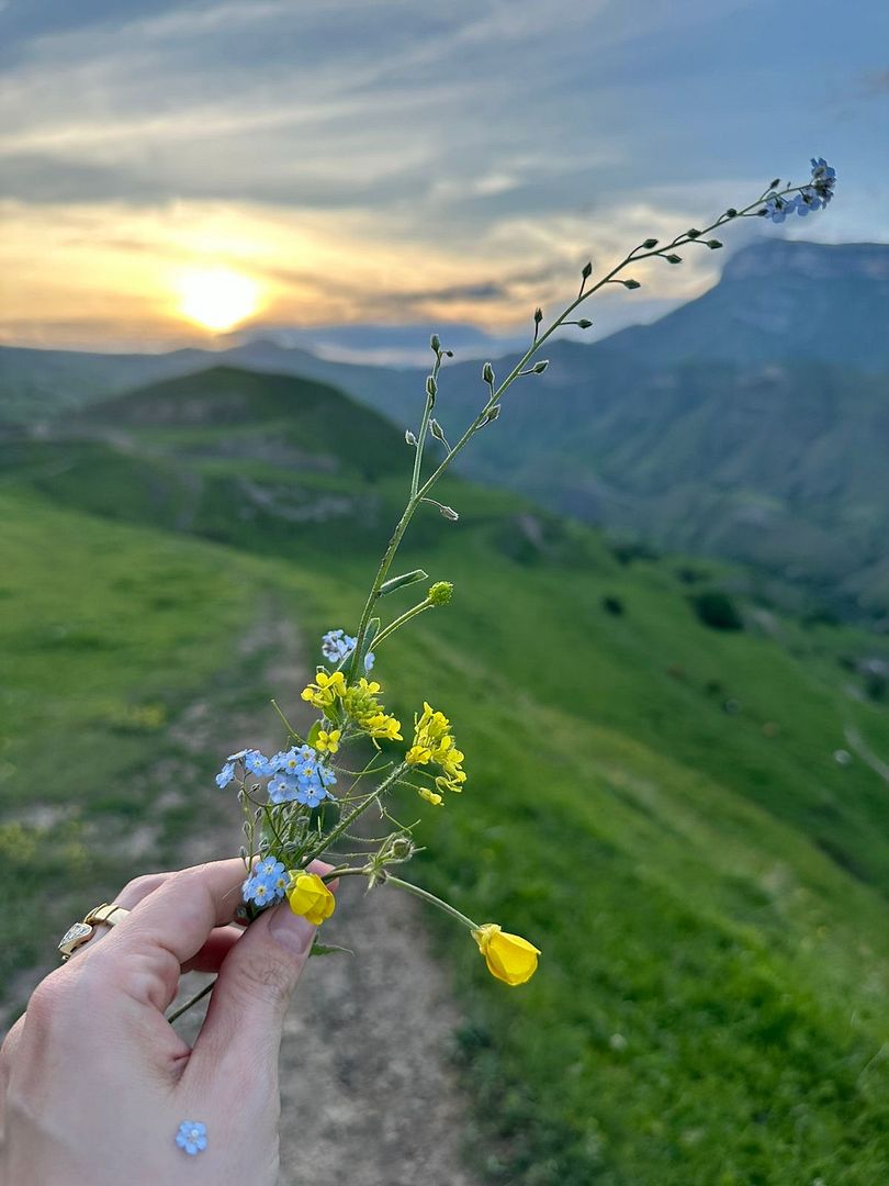 Summer in the mountains