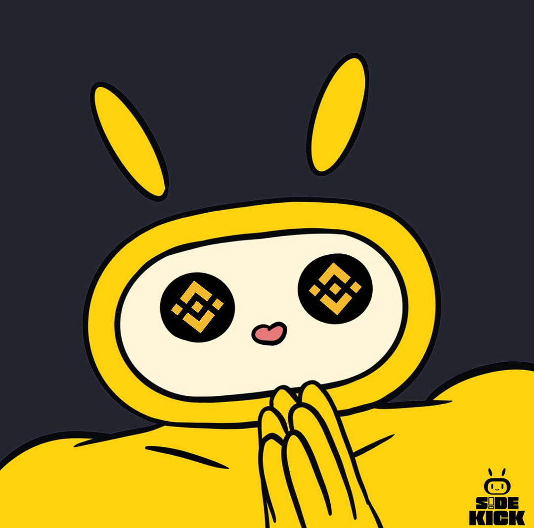 SIDEKICK BINANCE