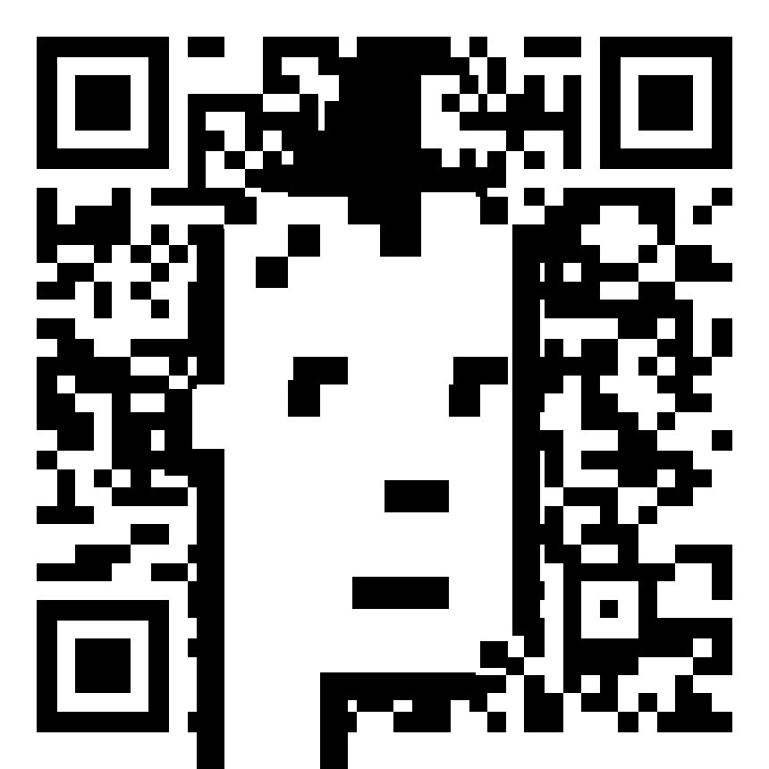 QR Punk