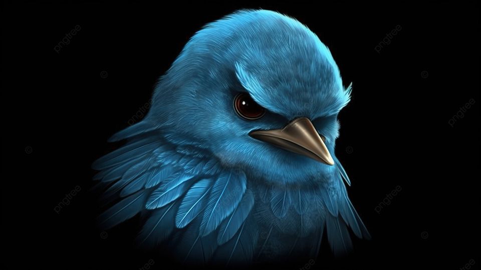 blue-bird