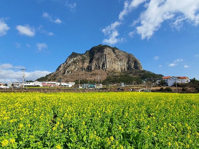 JEJU #2