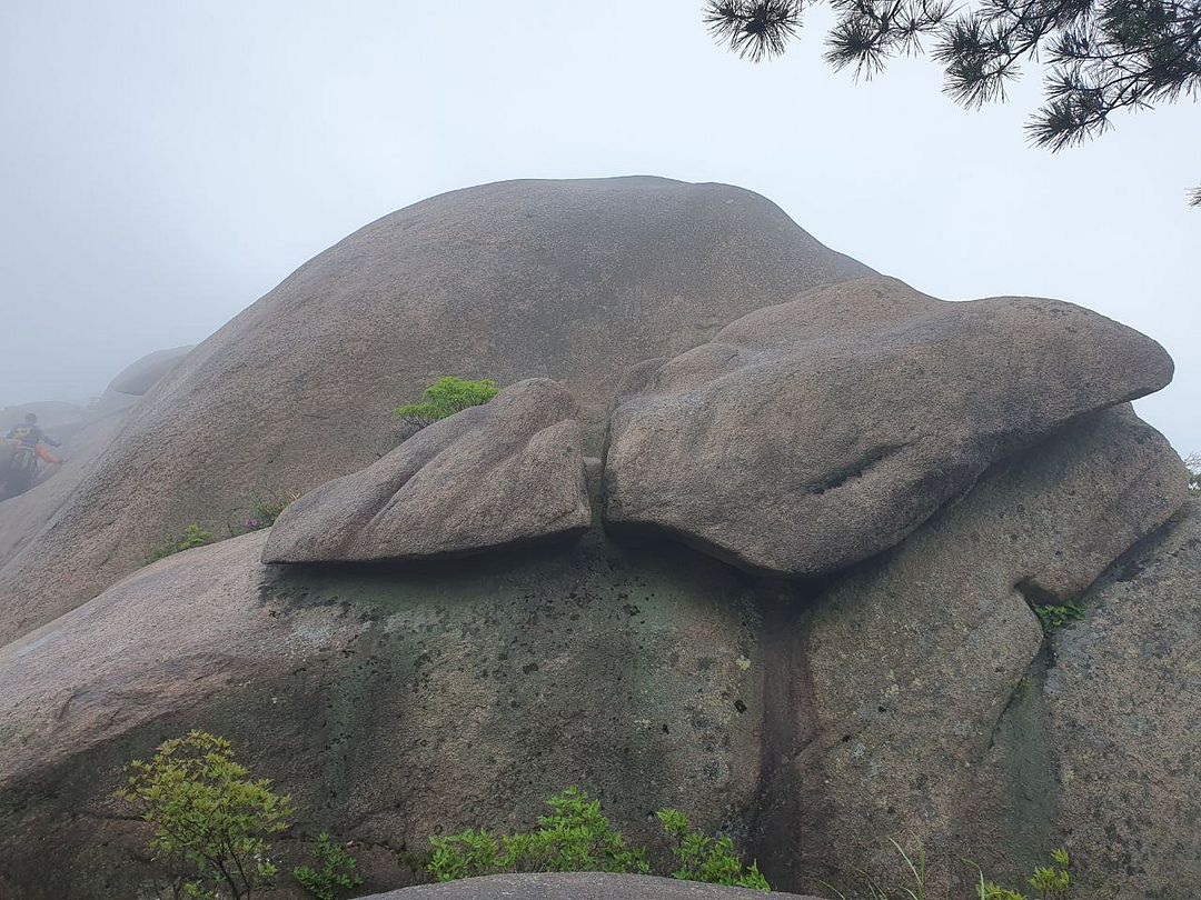 bizarre rock