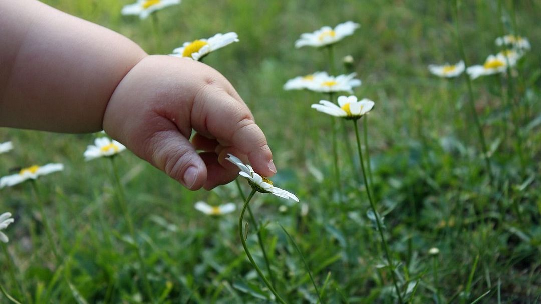 The first touch of nature....