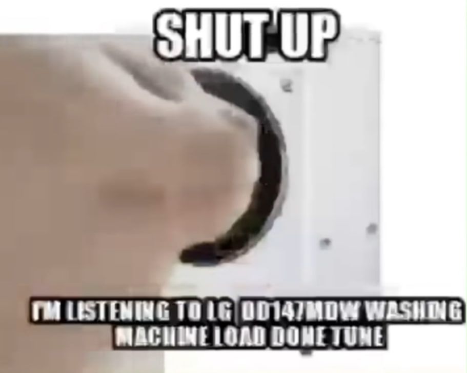 SHUT UP I'M LISTENING TO LG OD147MOW WASHING MACHINE LOAD DONE TUNE