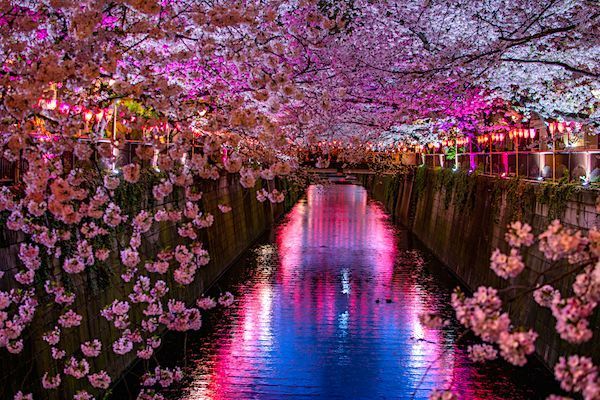 Jardines Japoneses