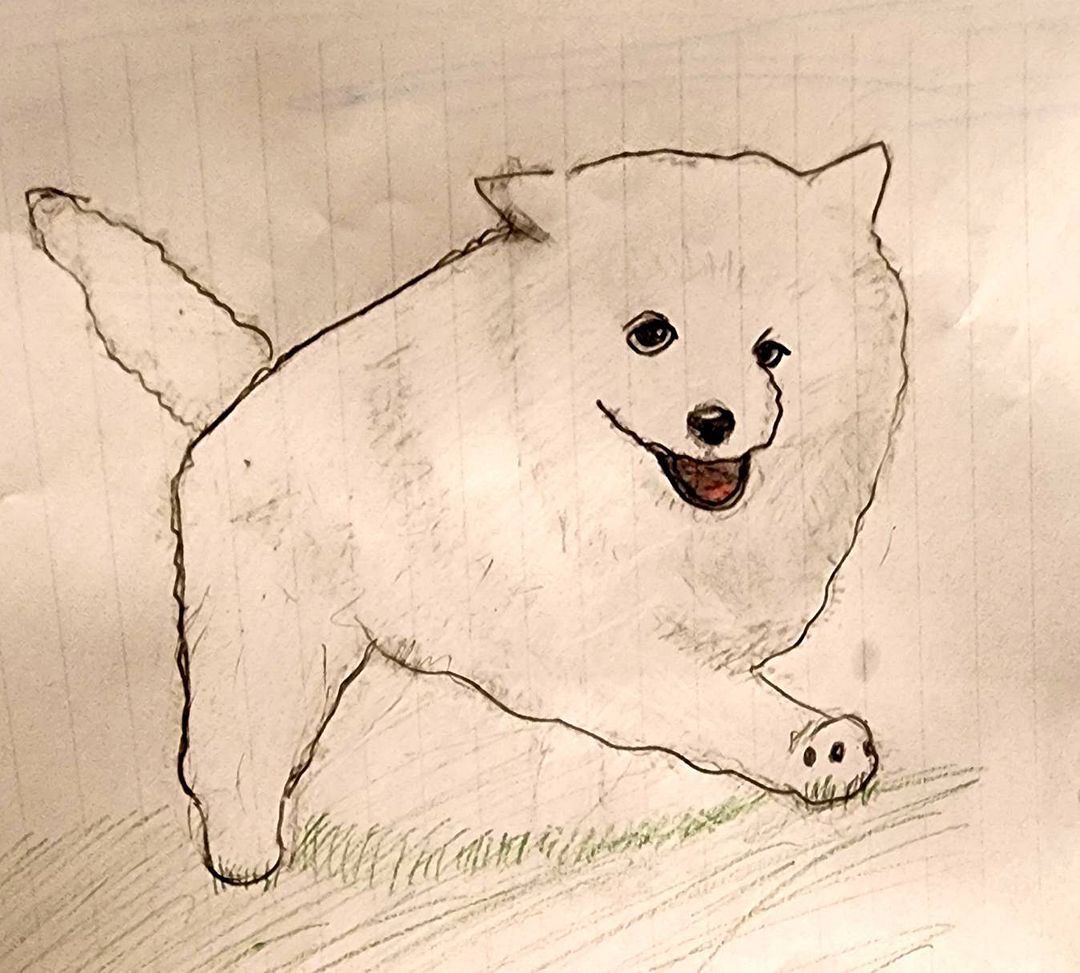 Samoyed written by my daughter