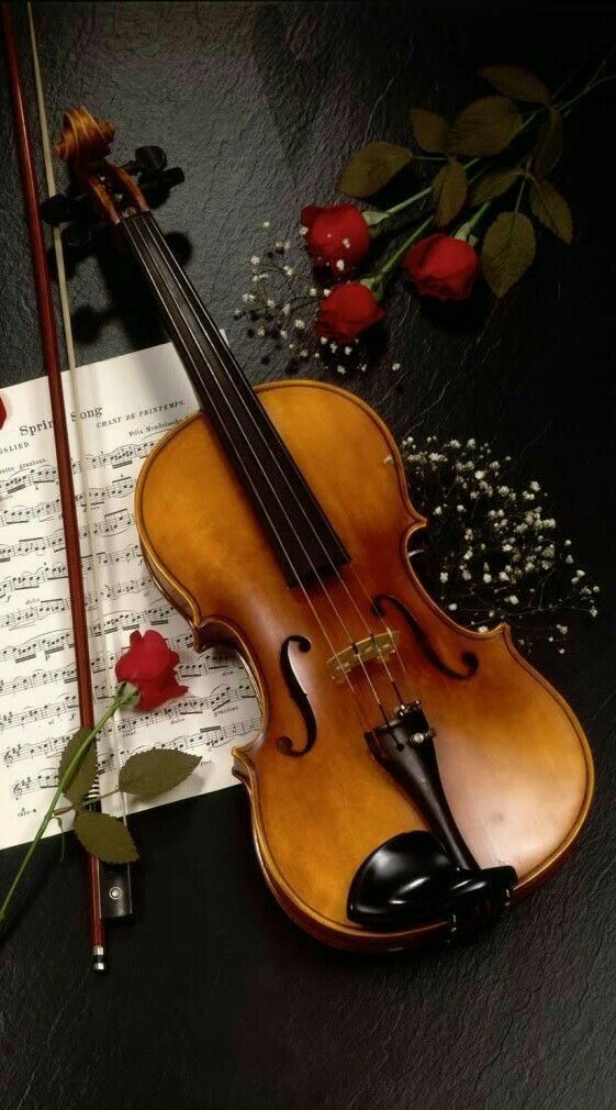 Violin