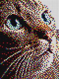 pixelscat