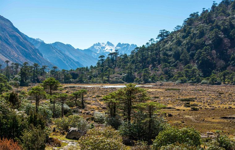 Chopta-Valley-North-Sikkim