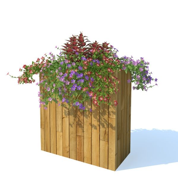 petunia_box_b1_01