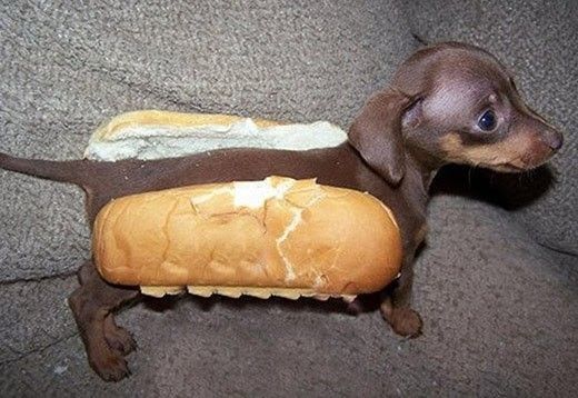 Hot Dog