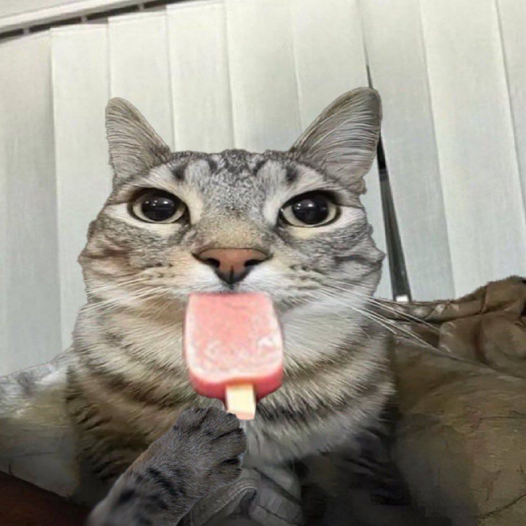 cat icecream