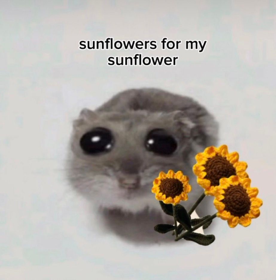 Sunflowers_for_my_Sunflower