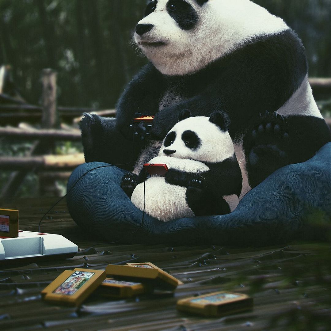 panda_dzhojstik