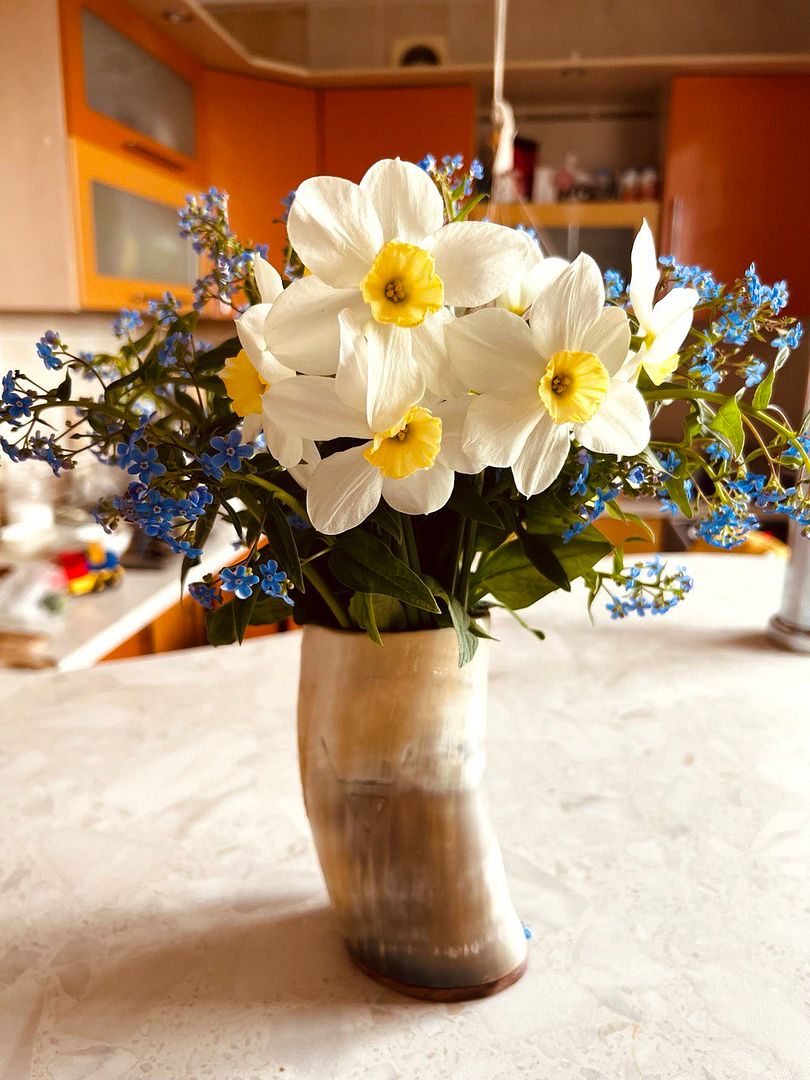 Narcissus Flowers