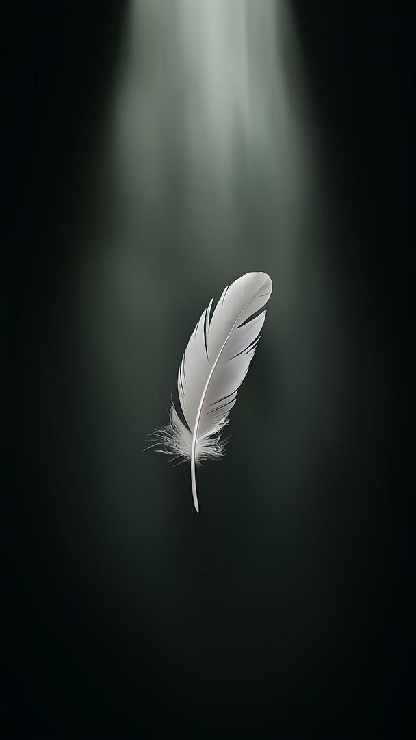 Feather