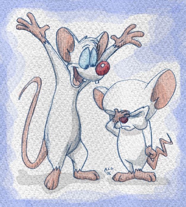 Pinky and the Brain