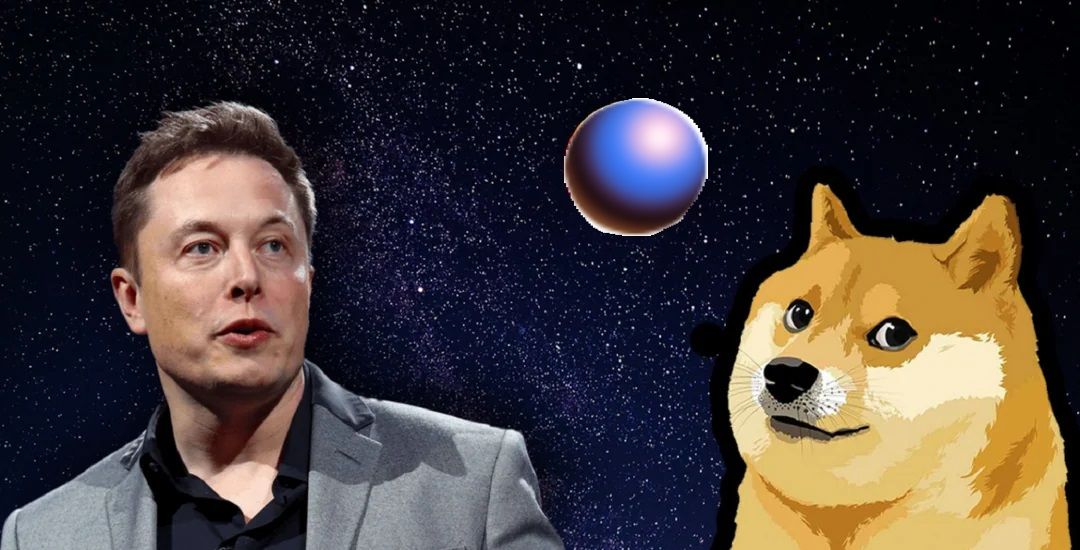 DOGE ELON ZORA