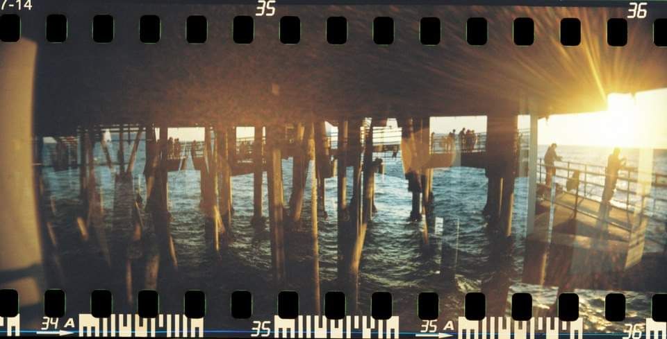 Under the Pier