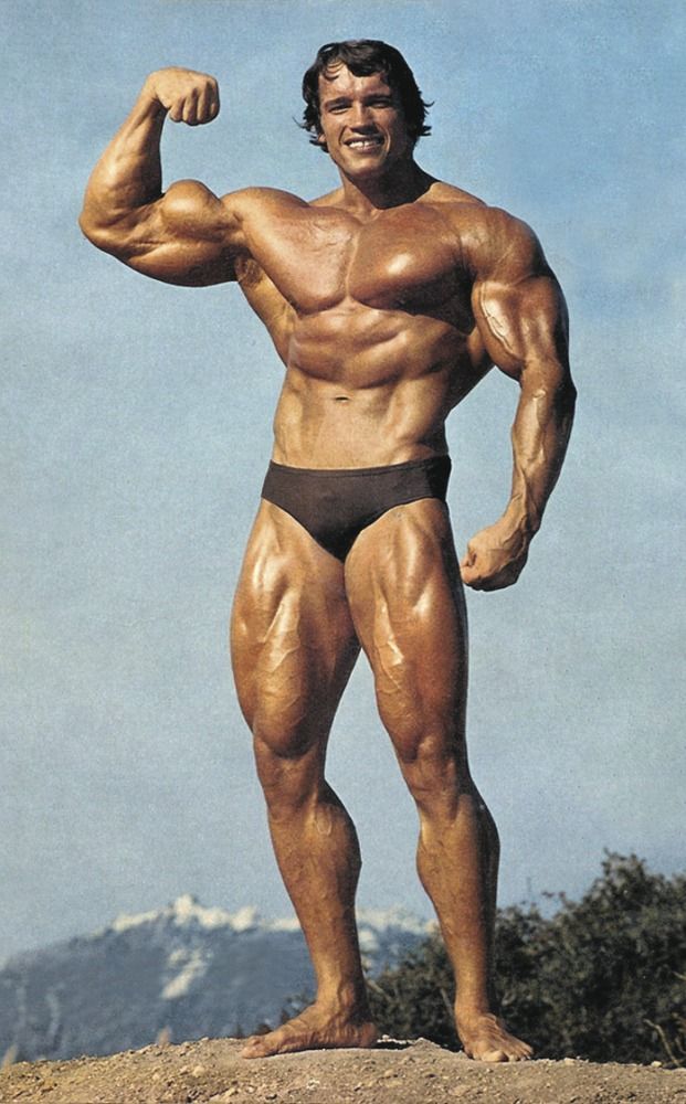 Arnold