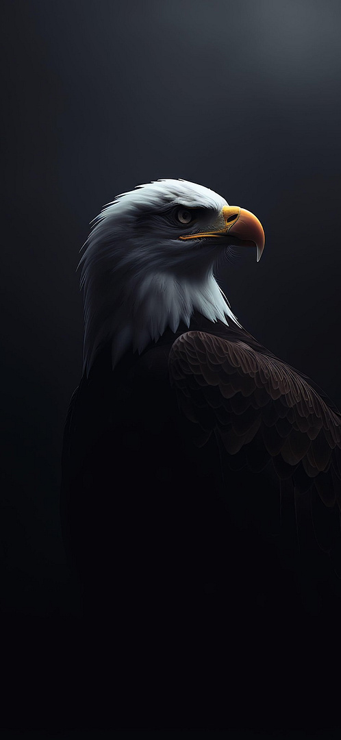 Eagle Wallpaper