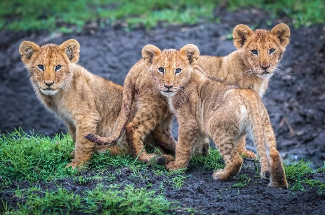 Awaiting mom's return