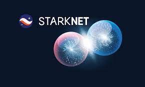 STARKNET MAXI