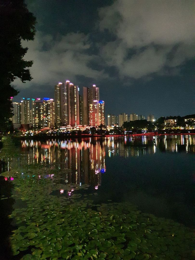 Night view