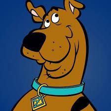 Scoobycrypto