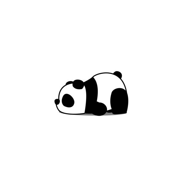 Panda #3