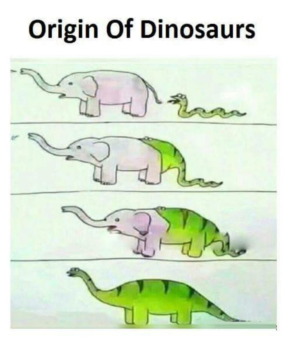 origin of dinosaur