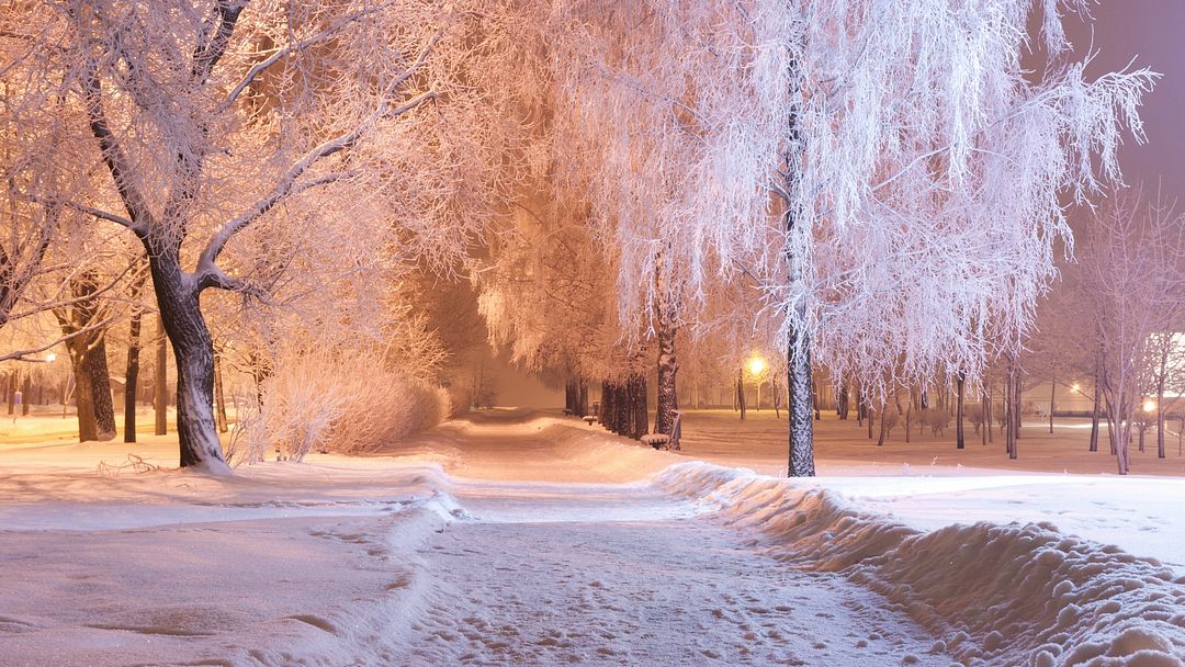 snow walk