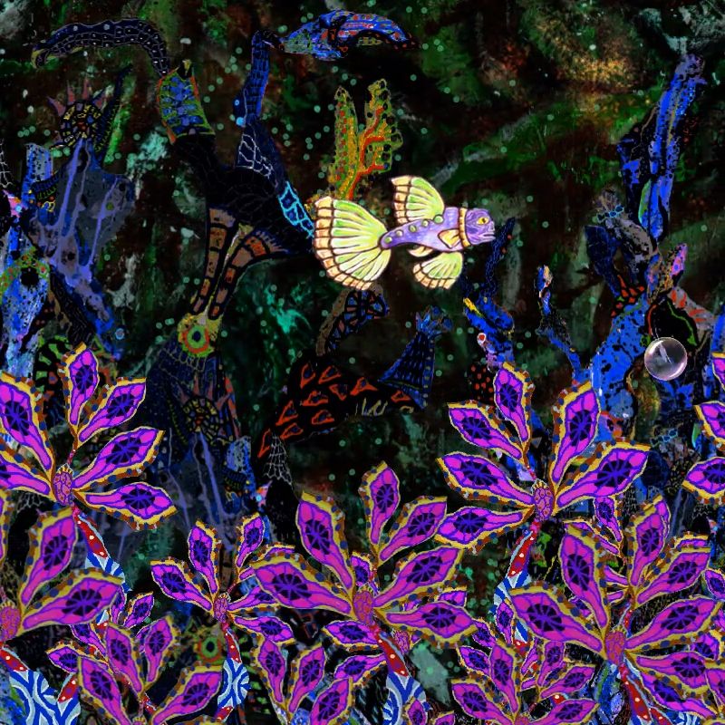 Acquarium 26 - The Little Butterfly Princefish