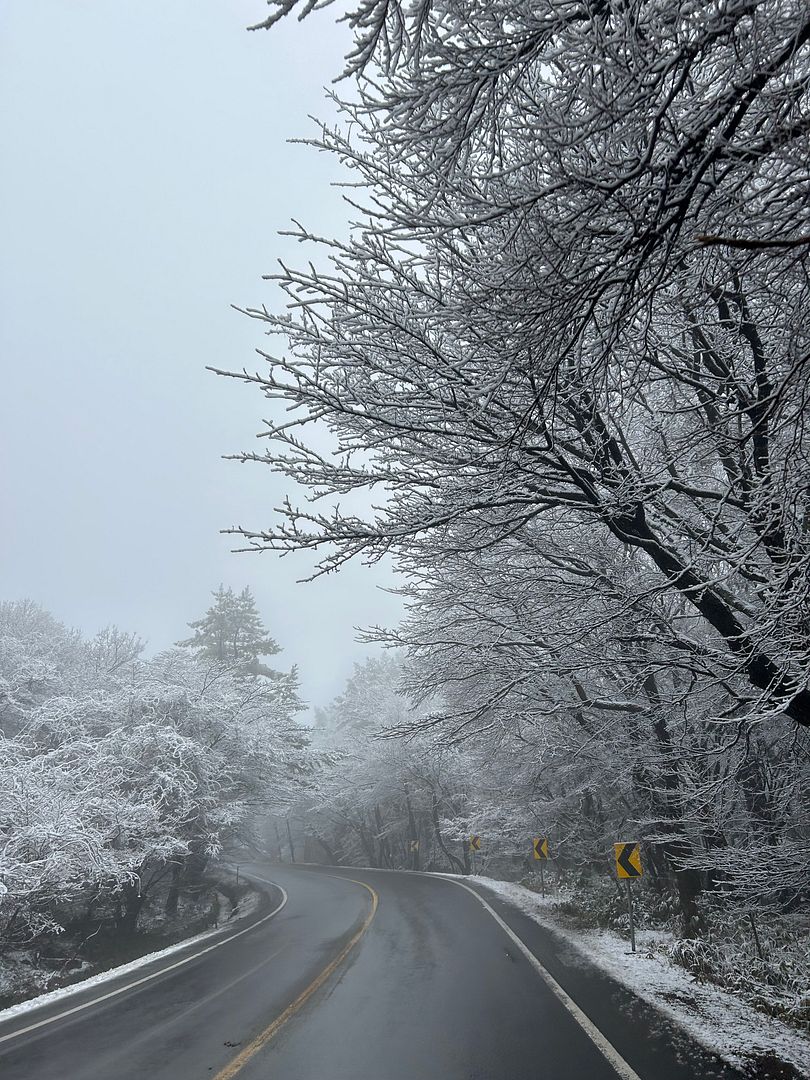 Winter in Jeju