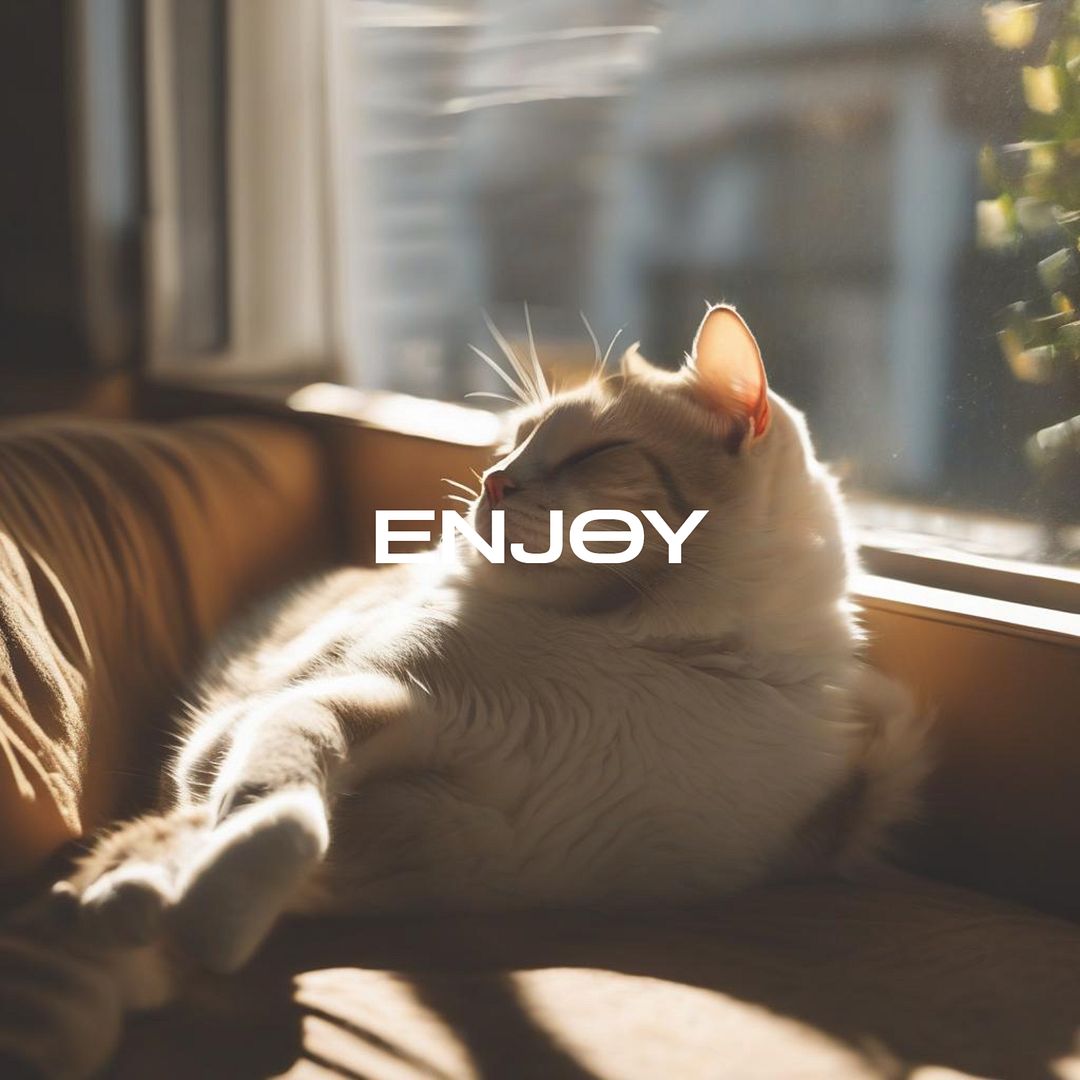 Enjoy cats #1