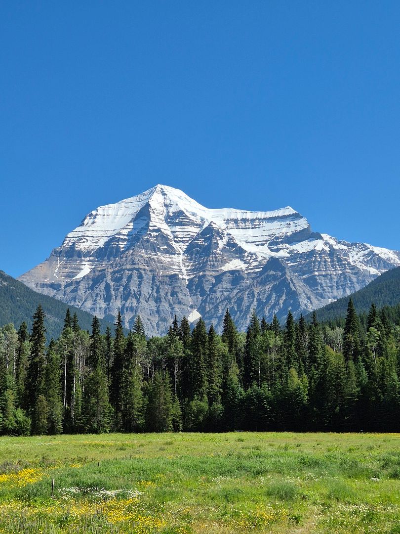 Mount Robson panorama