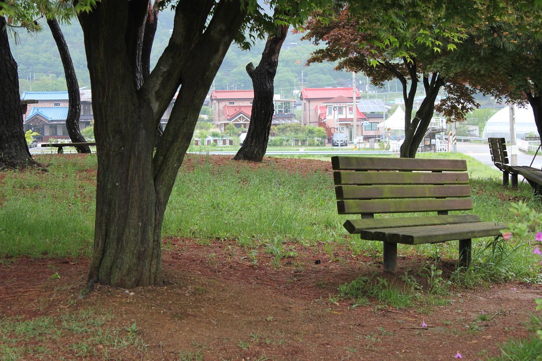 A Lonely Bench waiting for love.