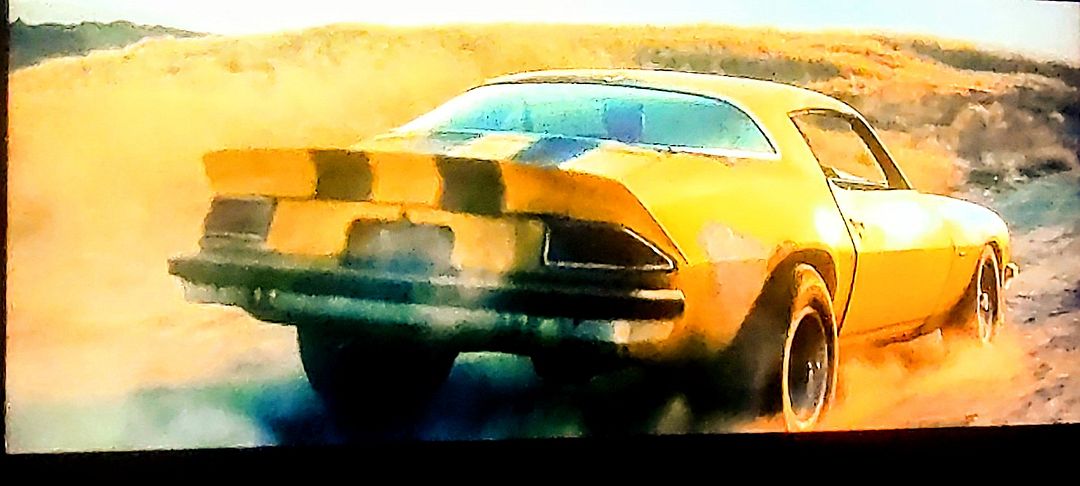 The True Bee