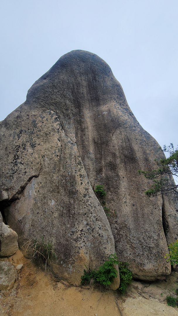 A strange rock on Mt. Daeya!  230607 Mungyeong, Gyeongsangbuk-do, South Korea