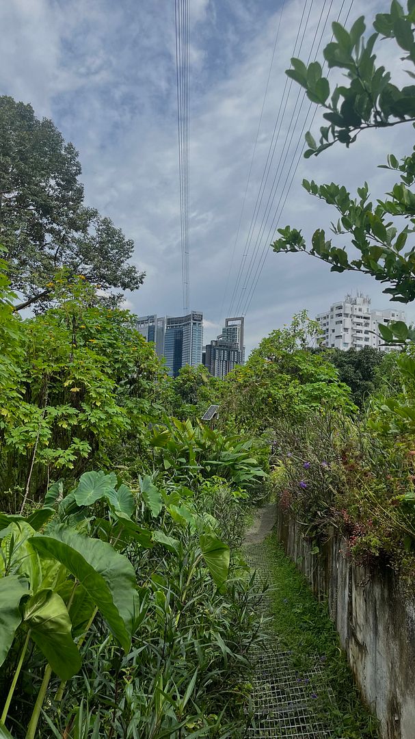 kebun kebun bangsar, kuala lumpur