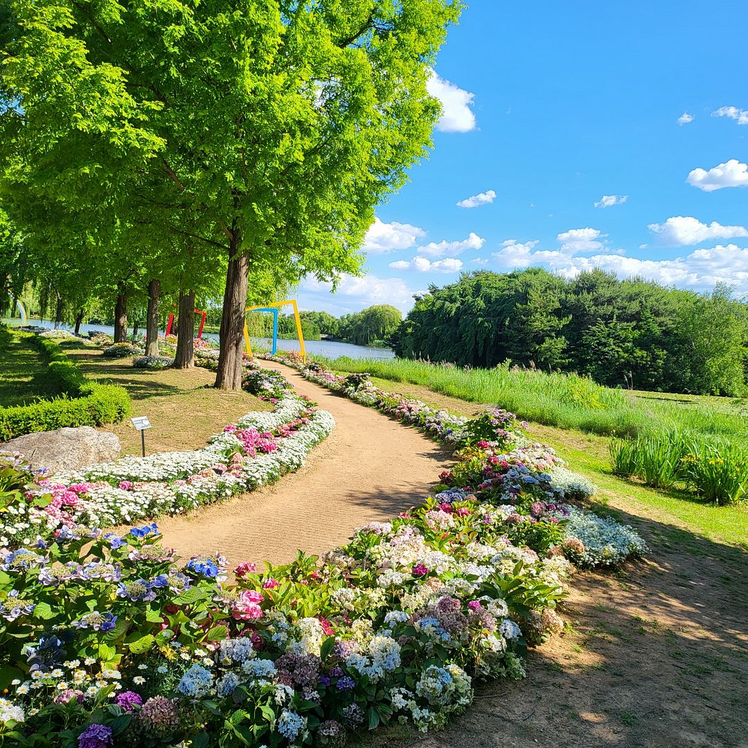 Ilsan lake park