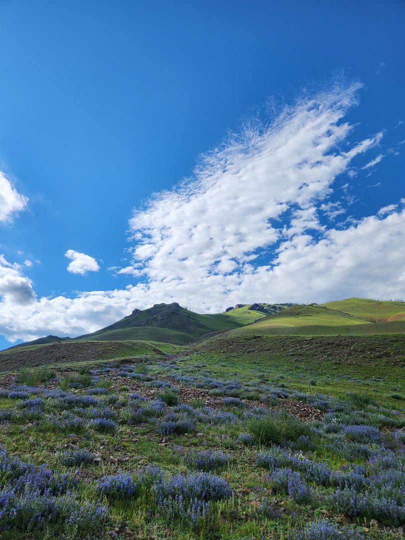 Mongolia's grasslands-Mongolia