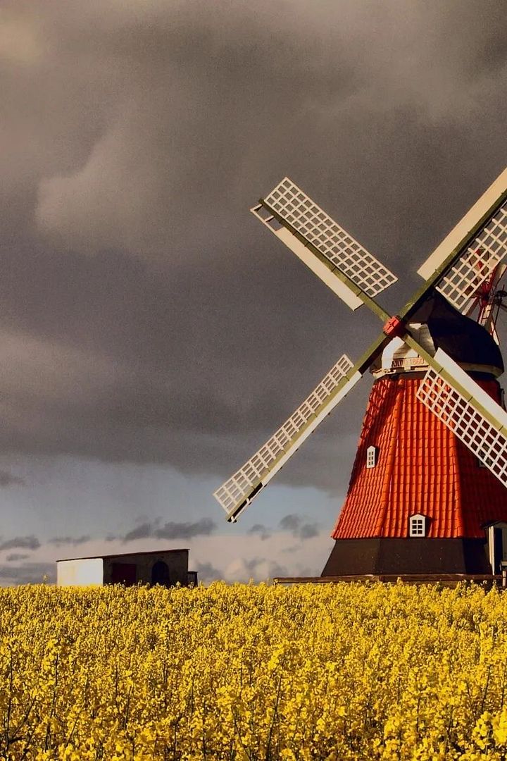 Windmill in Denmark🇩🇰2