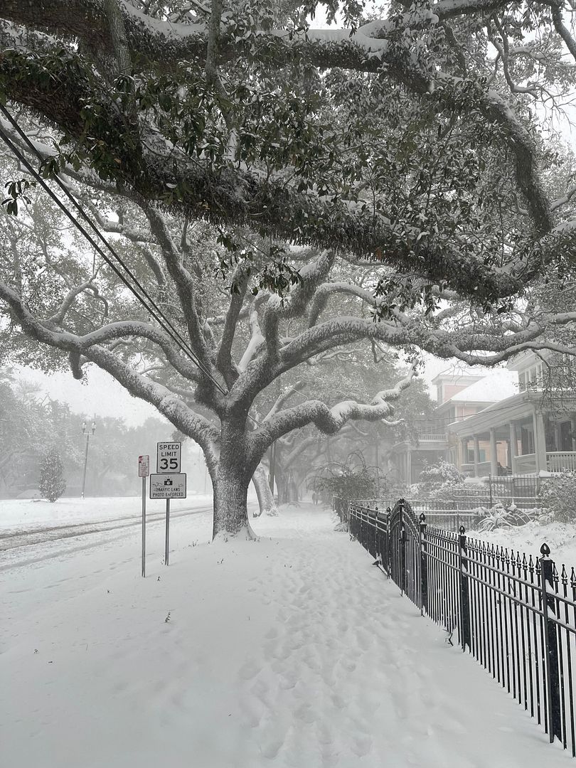 snow orleans