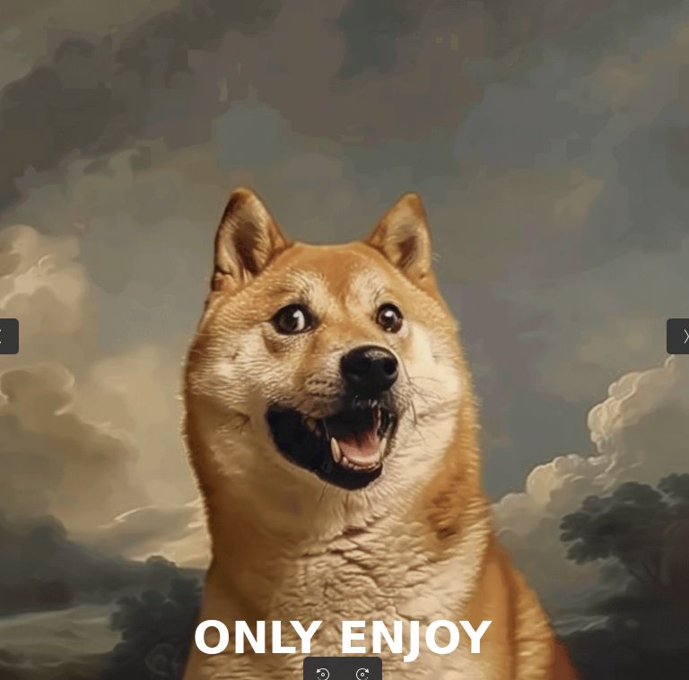 EnjoyDogy