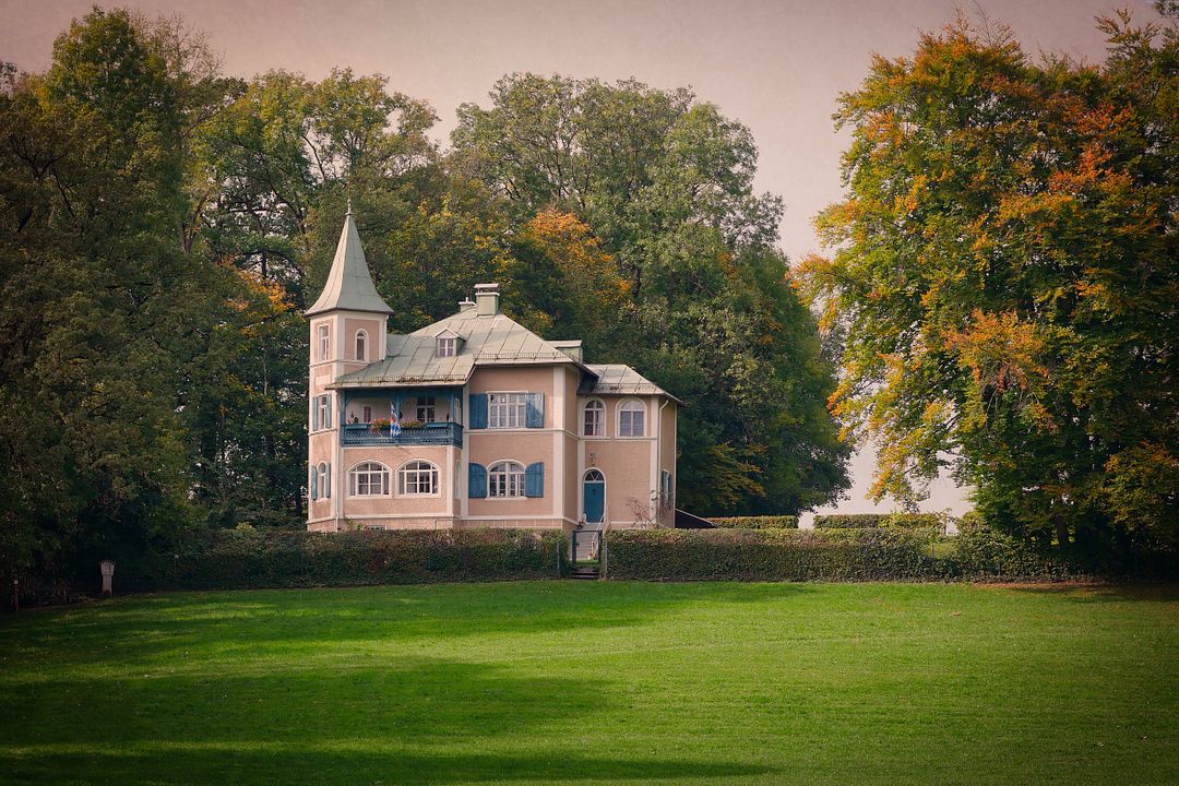 tree-house