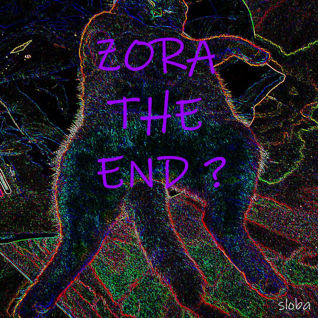 ZORA THE END ?