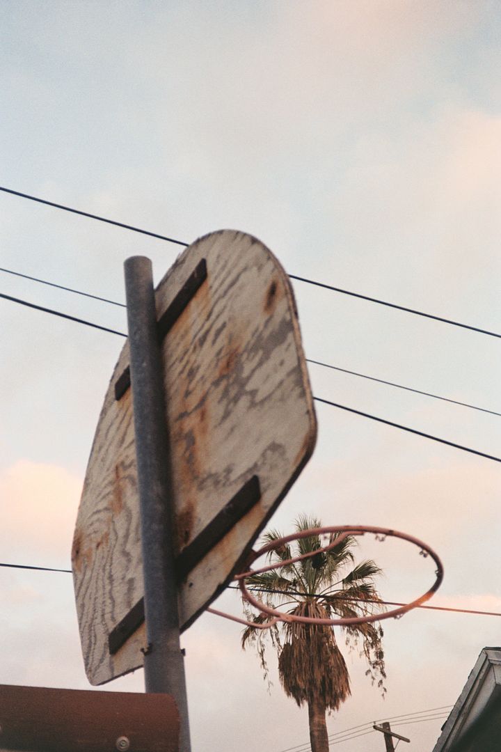 in the basket